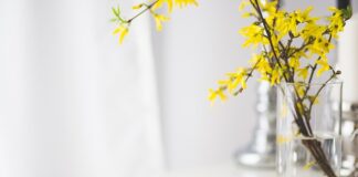 Jakie są plusy karty kredytowej?