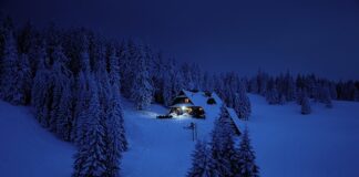 Jak opisać swój cel zawodowy?