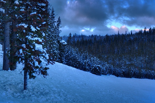 Czy licencjat to stopień naukowy? Czy licencjat to stopień naukowy?